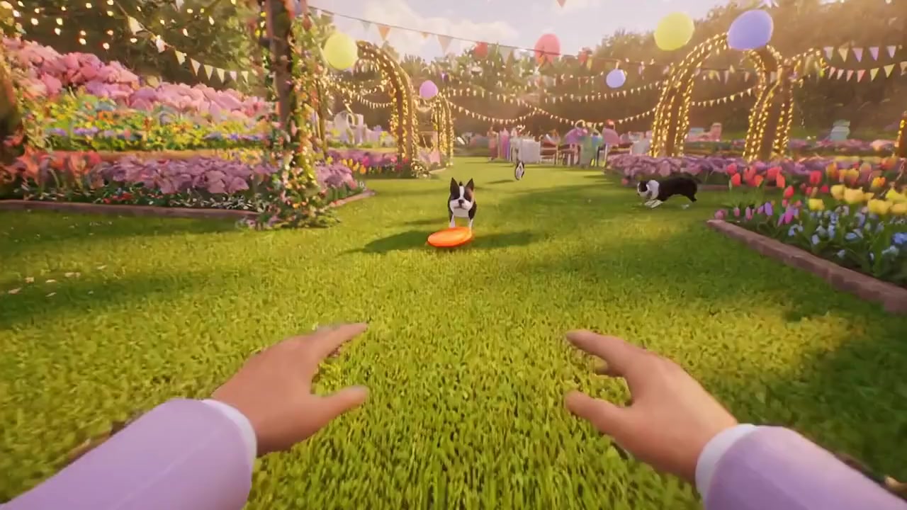 Boston Terrier Party