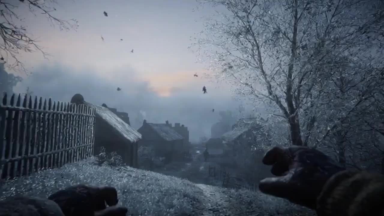 Veil of Winter