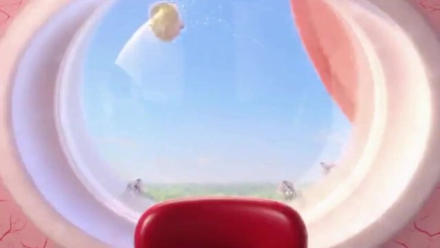 The Tale of the Ocular Office: A Day in the Life of an Eyeball- ANATOMY OF EYE