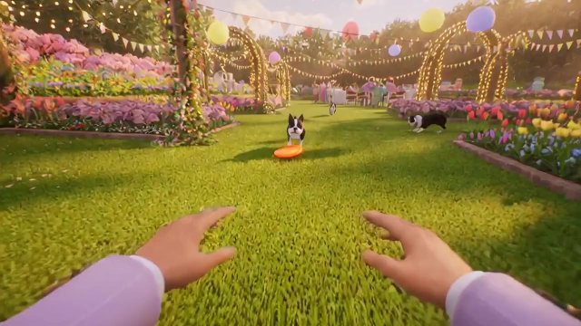 Boston Terrier Party